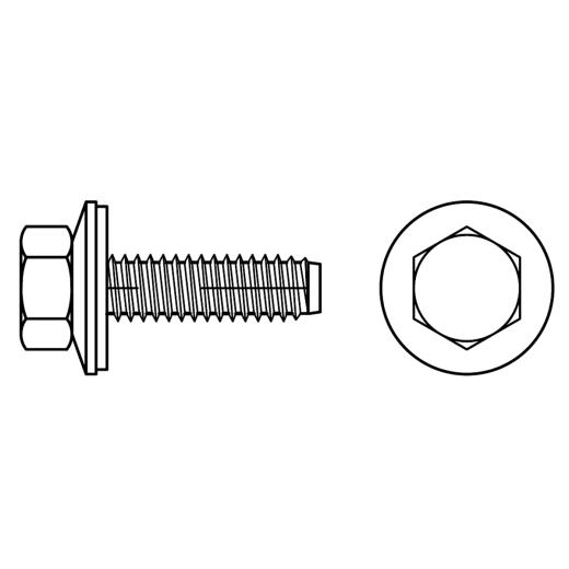 Fassadenschrauben mit Dichtscheibe und Zapfen | BZ 6,3 x 19 | 500 Stück