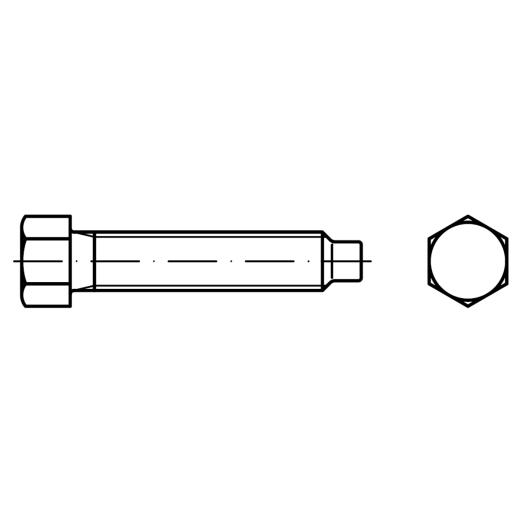 DIN 561 22H / 8.8 Form B | M 12 x 80 SW17 mm galvanisch verzinkt A2F | 25 Stück