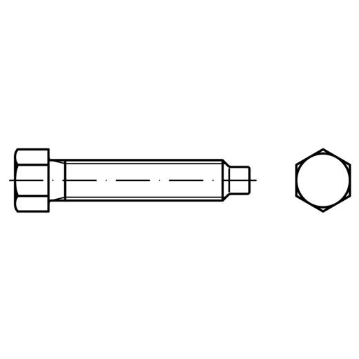 DIN 561 22H / 8.8 Form B | M 30 x 160 mm galvanisch verzinkt A2F | 5 Stück