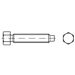 DIN 561 22H / 8.8 Form A | M 16 x 80 SW19 mm galvanisch verzinkt A2F | 10 Stück