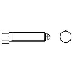 DIN 564 22H / 8.8 Form B | M 12 x 45 SW 17 mm | 25 Stück