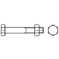 DIN 601 mit Mutter | M 20 x 55 mm | galvanisch verzinkt | 25 Stück