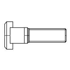 T-Nutenschrauben DIN 787 8.8 12 | M 12 x 100 mm | 10 Stück