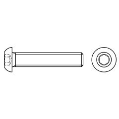 Flachkopfschrauben mit Innensechskant | ISO 7380-1 | M 12 x 20  | 100 Stück